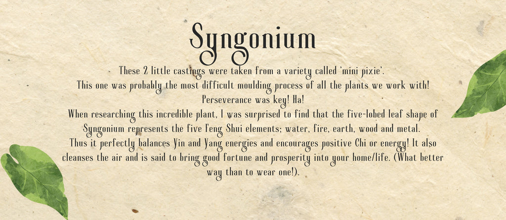 Syngonium