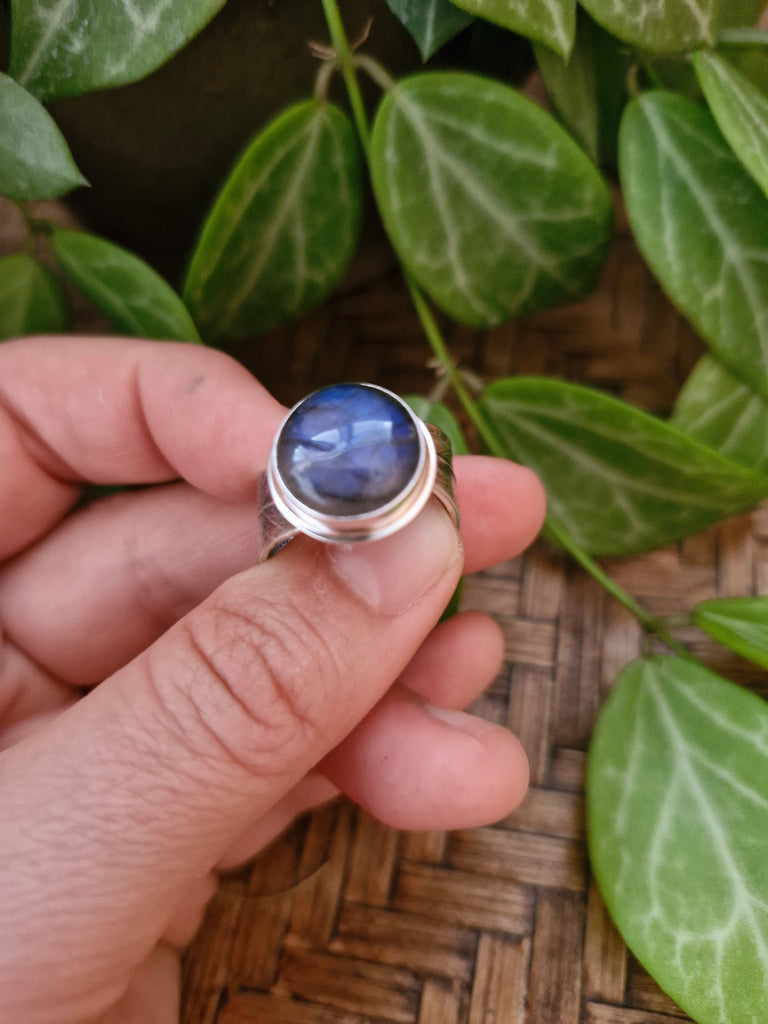 Labradorite Callistemon Leaf Ring