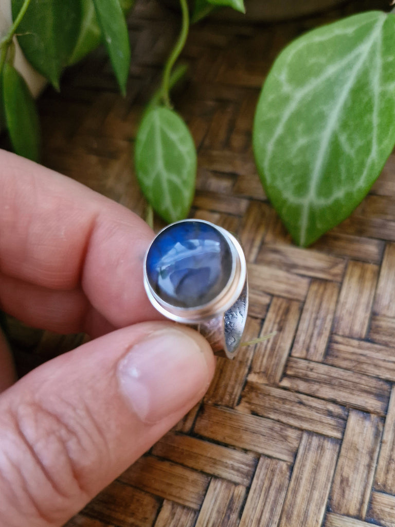 Labradorite Callistemon Leaf Ring